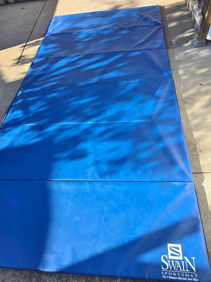 Pair of Professional Swain / Dollamur Martial Arts Mats