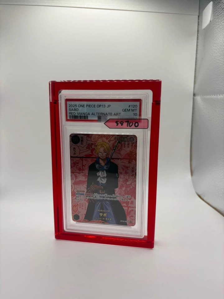 Coloured Acrylic Bricks – Pokémon Card Display - photo 4