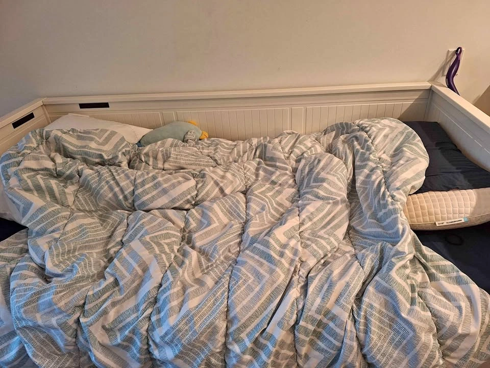 HEMNES Daybed with storage + twin mattresses