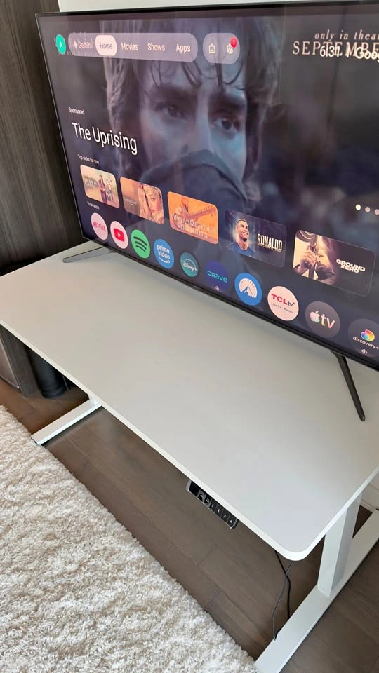 FlexiSpot EN2 Electric Standing Desk (All-White)