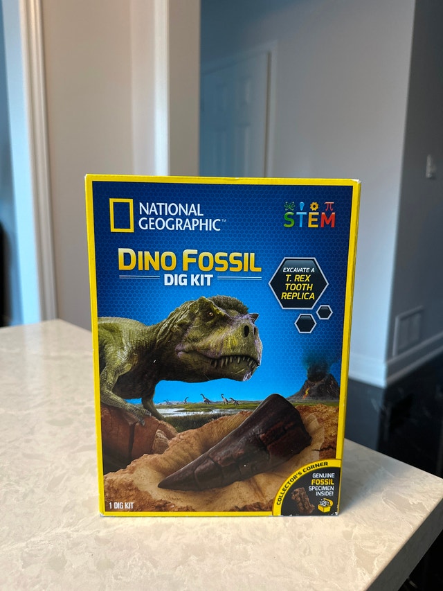 National Geographic Dino Fossil Dig Kit