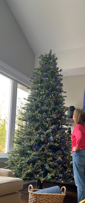 9 ft pre-lit Aspen Artificial Christmas Tree - photo 3
