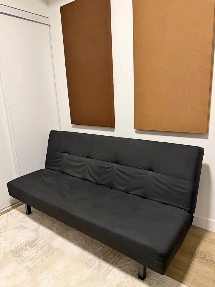 IKEA Balkarp Futon Sofa Bed (Black)