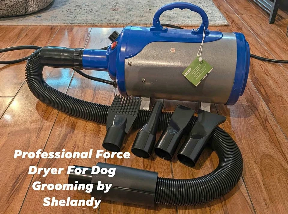 Professional Force Dryer For Dog Grooming by Shelandy