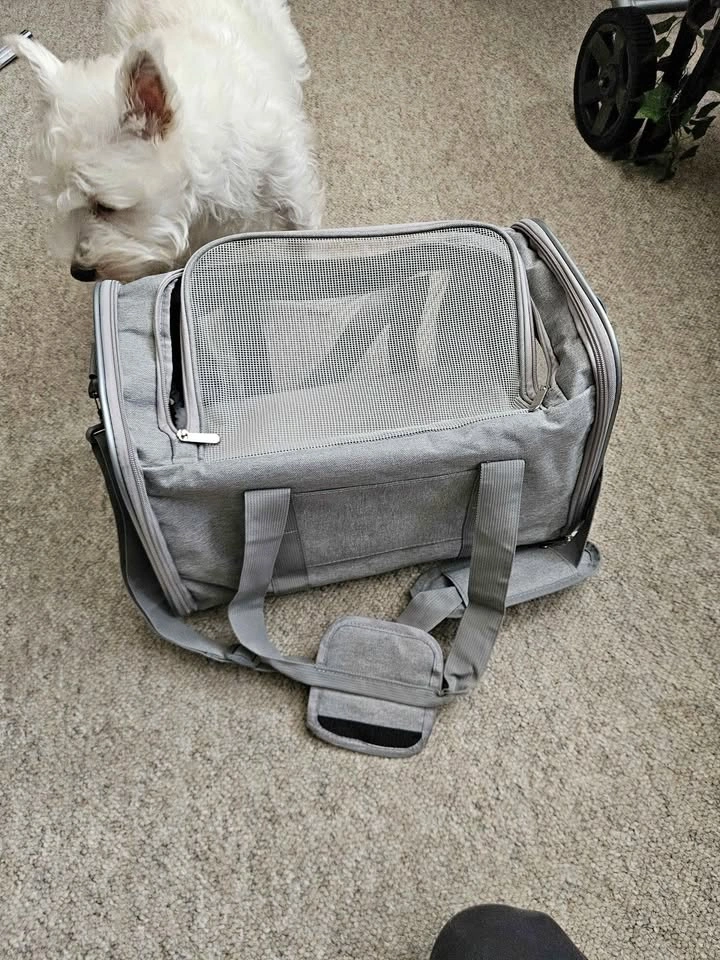 Travel carrier for small animal only used once