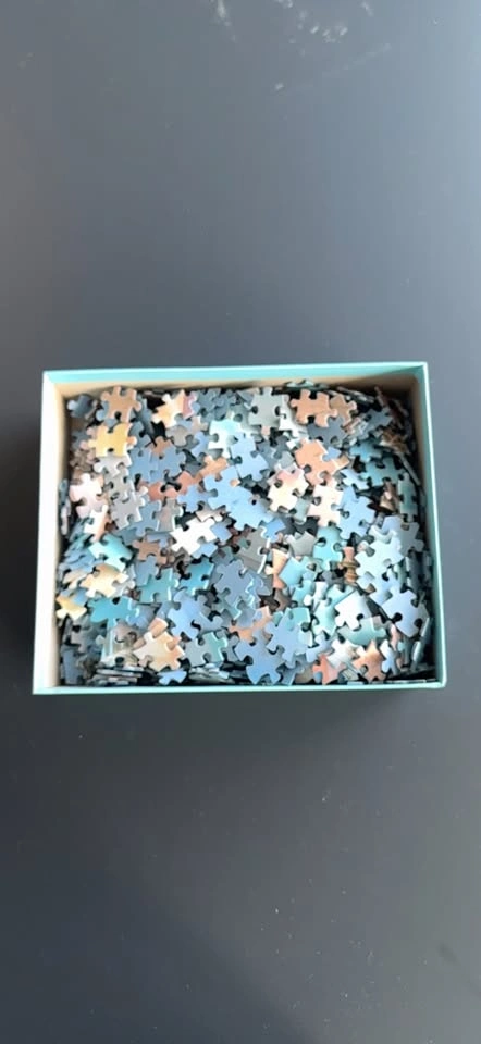 ROCO ROSE Inspirational Beach 1000 Piece Jigsaw Puzzle - photo 3