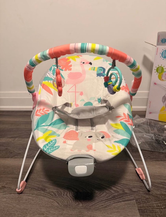 Baby Bouncer