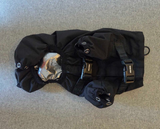Canada Pooch Size 8 Winter Dog Coat - photo 2