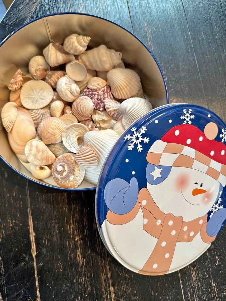 Tin of Sea Shells