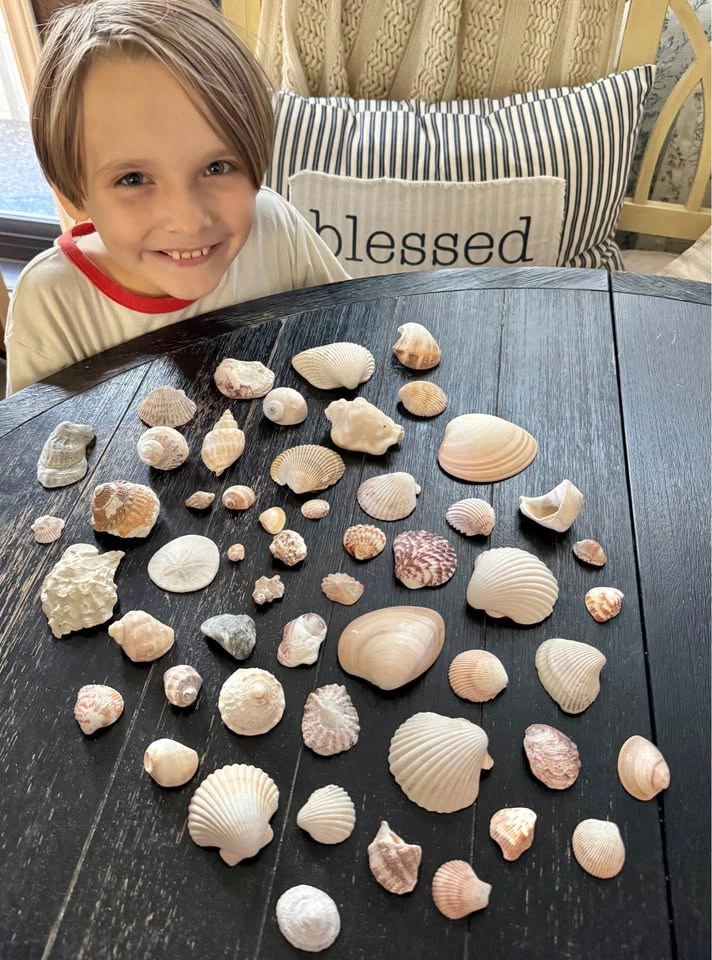 Tin of Sea Shells - photo 2