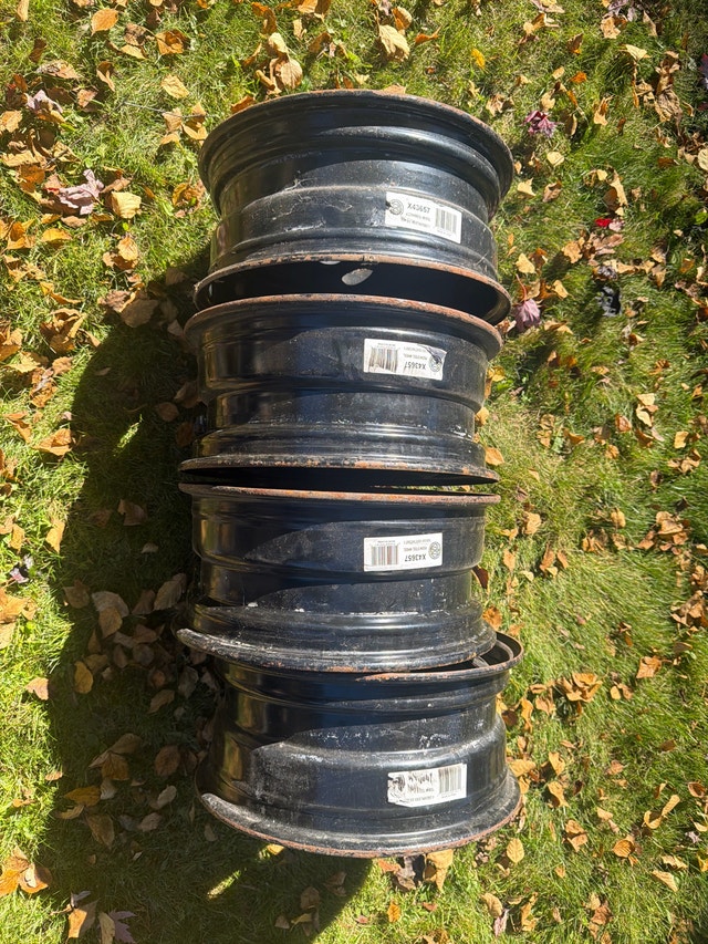 Steel Rims X43657