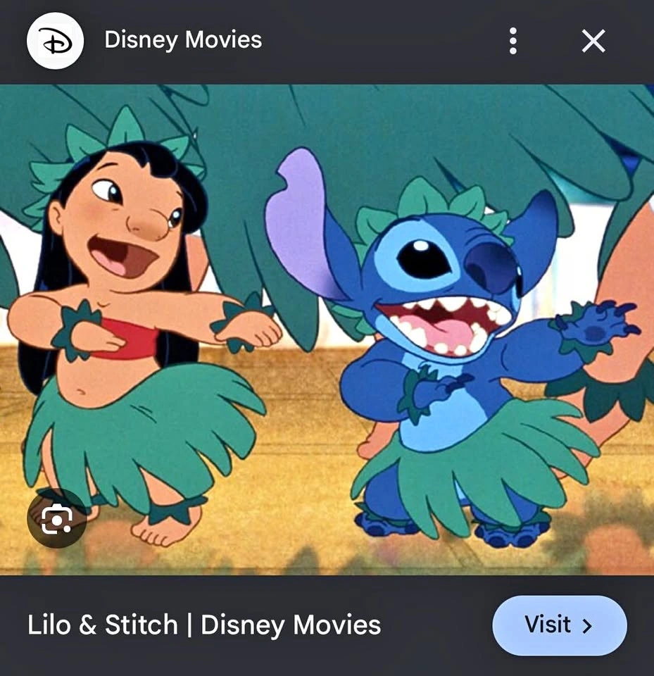 Halloween costume : Lilo & Stitch +wig