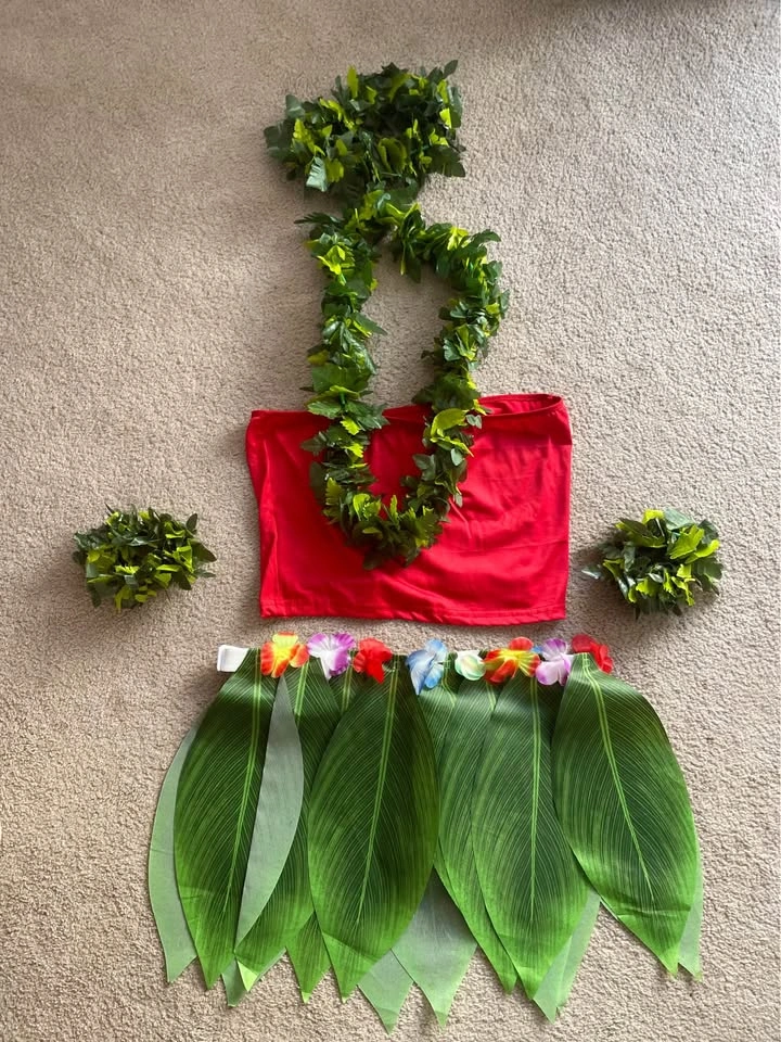 Halloween costume : Lilo & Stitch +wig - photo 2