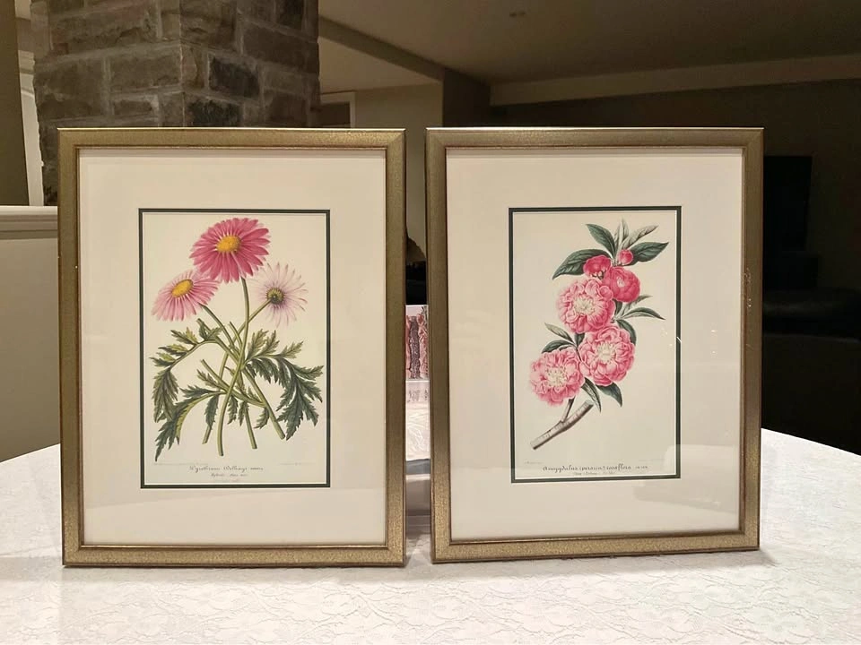 Prints Botanical Vintage