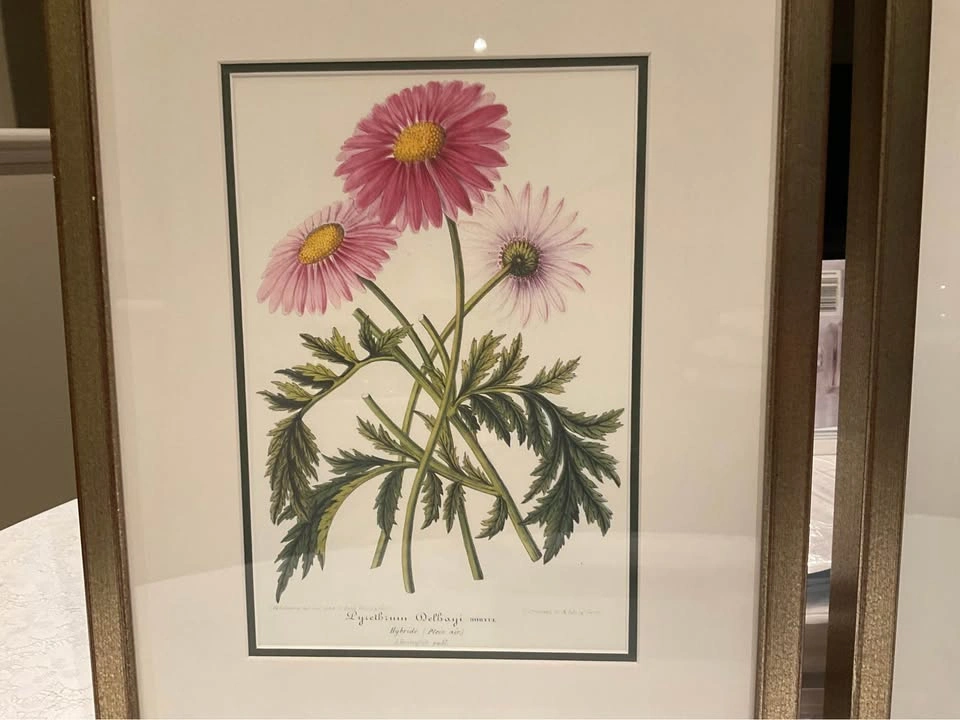 Prints Botanical Vintage - photo 5