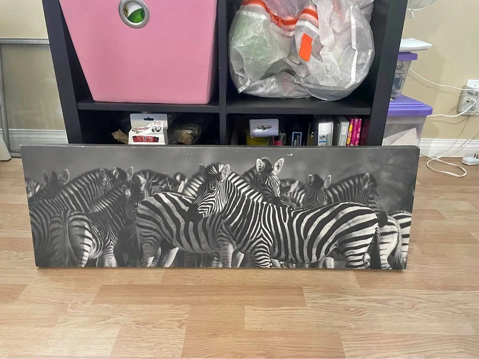 Zebra Canvas Print