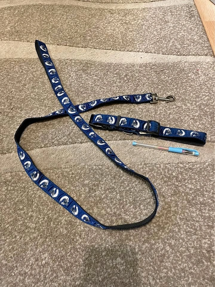 Canucks Large Dog Collar & Leash