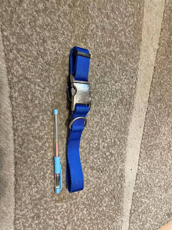 Large Dog Collar