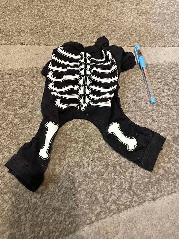 Small dog or cat skeleton onesie