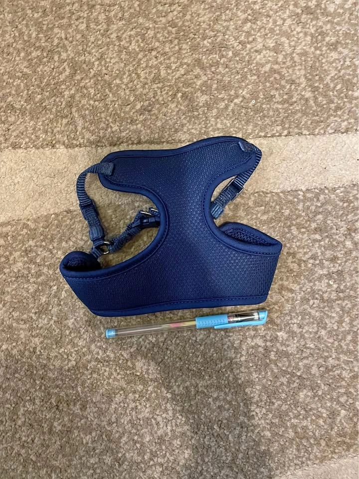 Small Dog or Cat Harness