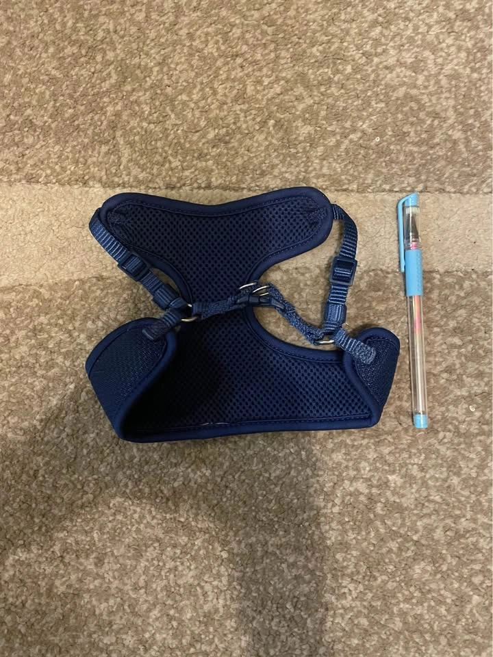 Small Dog or Cat Harness - photo 2