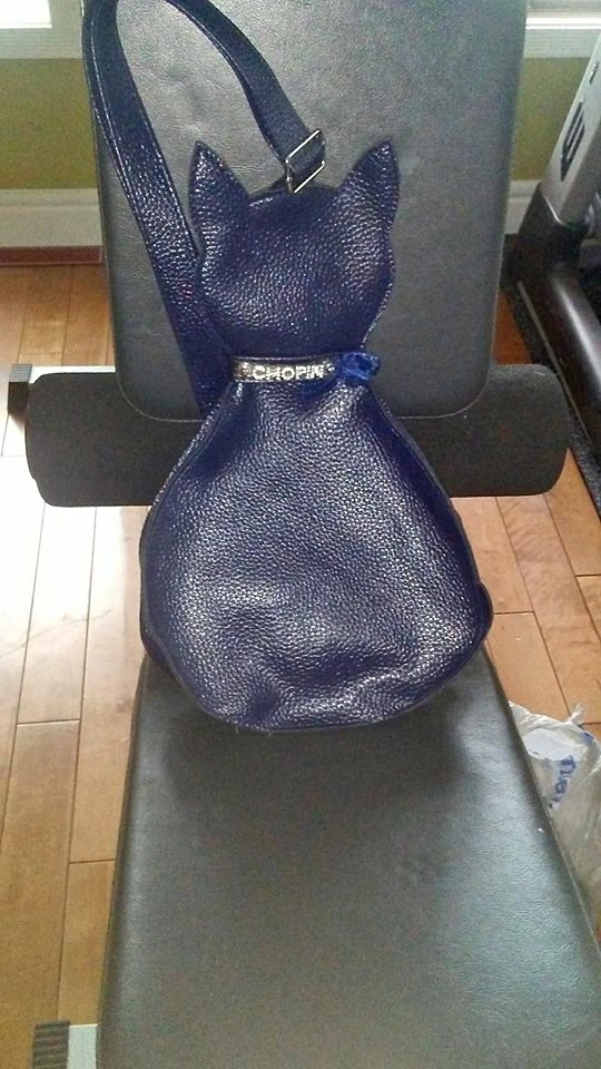 Brand New Kitty Bag