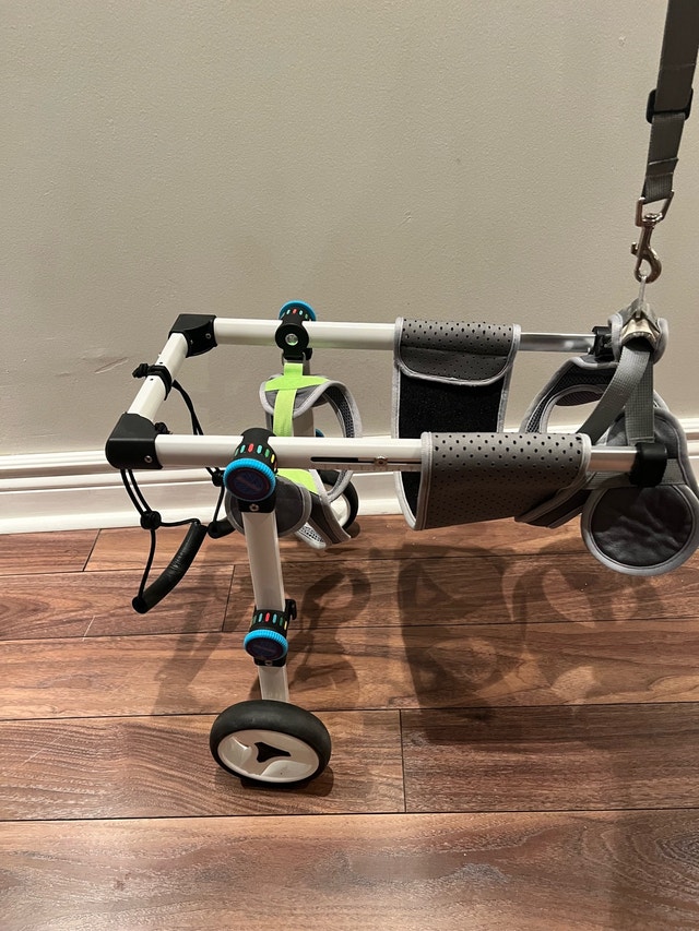 Dog Wheelchair