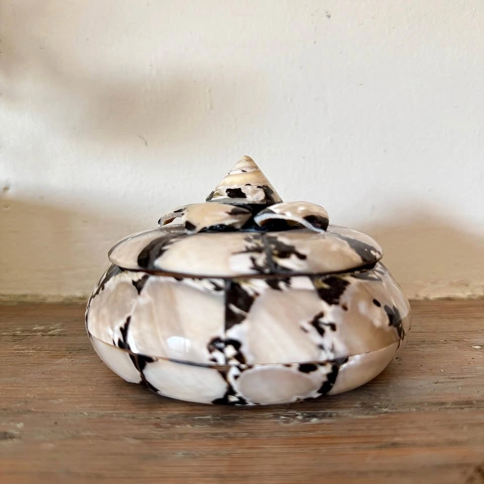 Vintage Mother of Pearl Seashell Trinket Box