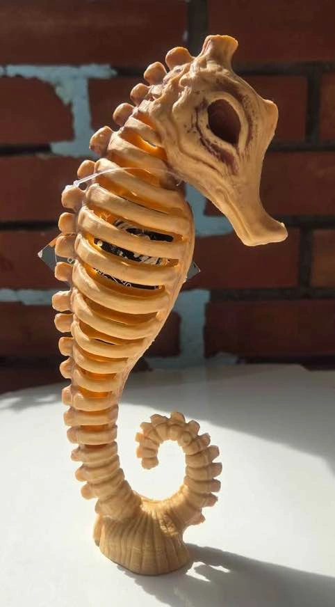 Plastic Skeleton Seahorse Halloween Decoration – New - photo 4