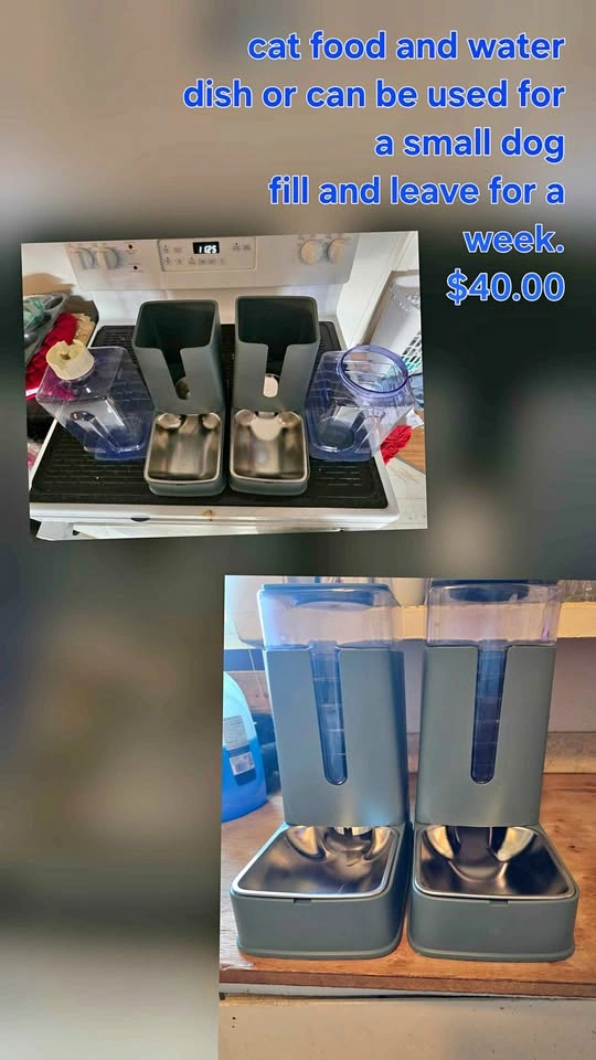 Food and water container for cats
