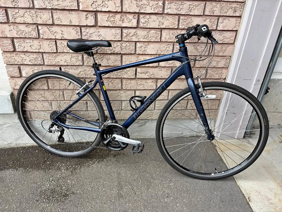 Garneau Urban Medium Hybrid Bike
