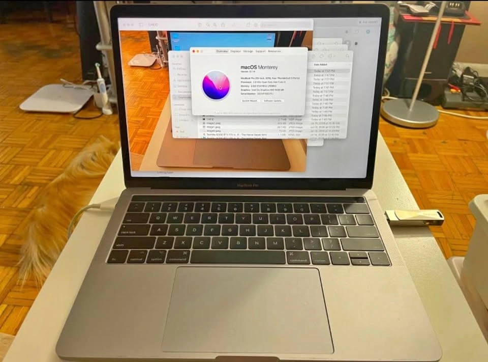 Apple MacBook Pro 13-inch (New Battery)