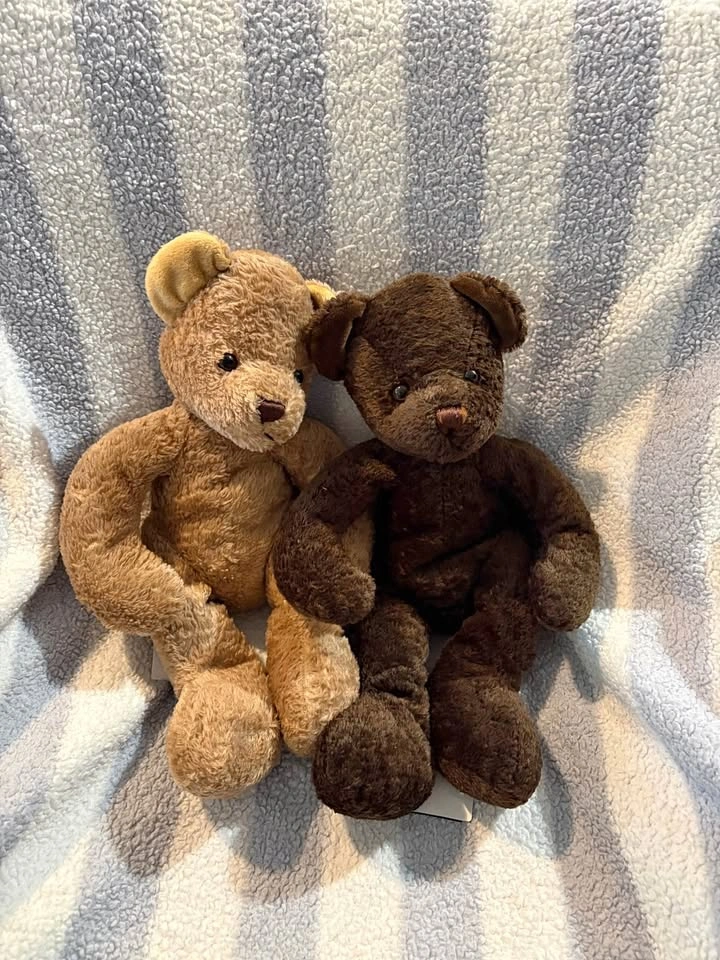 Soft stuffed teddy bear (rich)