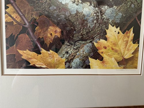 Carl Brenders Golden Season - Gray Squirrel Signed & Num Print - photo 2