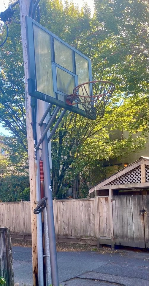Adjustable Basketball Hoop - photo 2