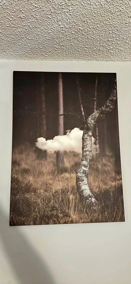 Surreal Nature Canvas Wall Art Prints - Set of 2
