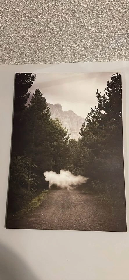 Surreal Nature Canvas Wall Art Prints - Set of 2 - photo 2