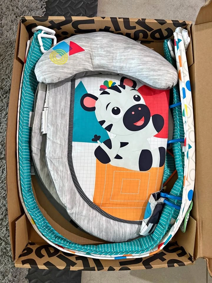Baby Einstein Play Gym