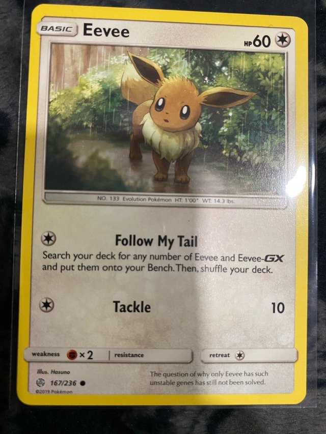 Eevee 167 80 13 62 90 Pokémon Cards