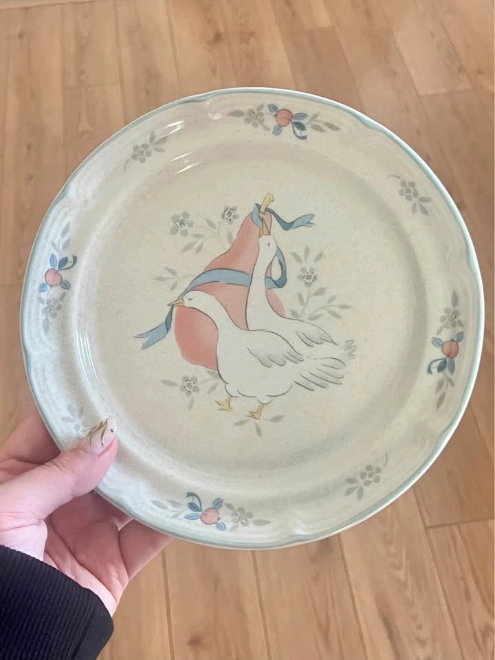 Vintage Country Goose 10-Piece Dish Set - International Tablewor - photo 3