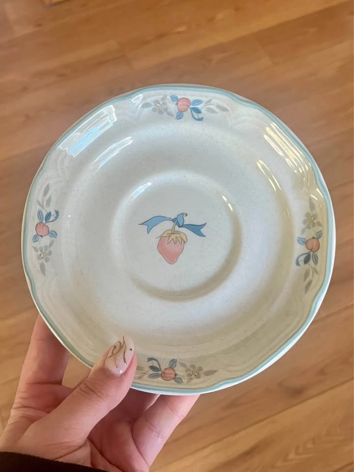 Vintage Country Goose 10-Piece Dish Set - International Tablewor - photo 5