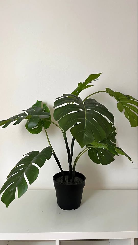 Artificial Monstera Plant