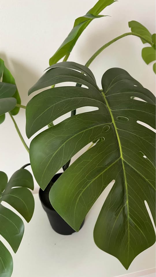 Artificial Monstera Plant - photo 2