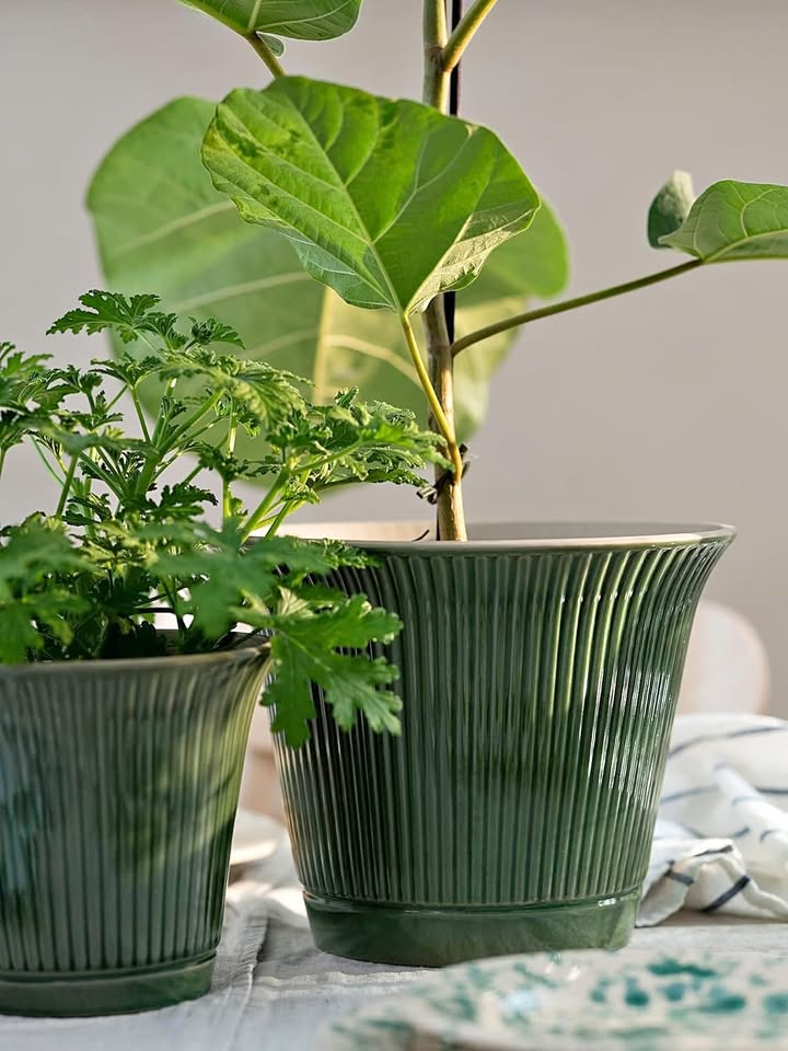 Ikea Green Plant pot