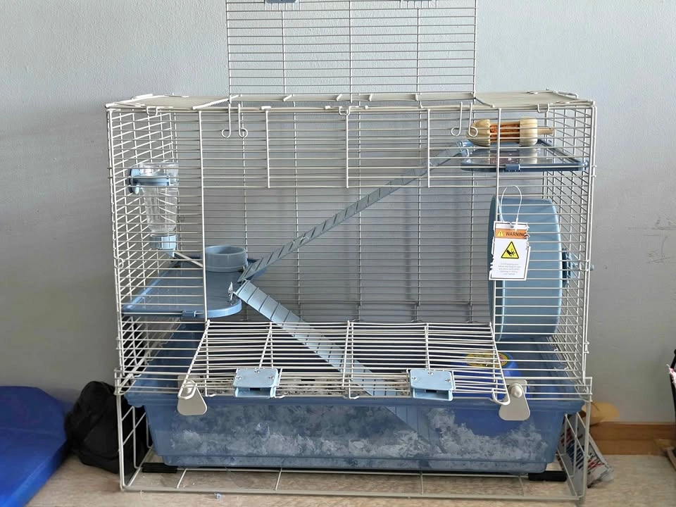 Hamster Starter Spacious Home