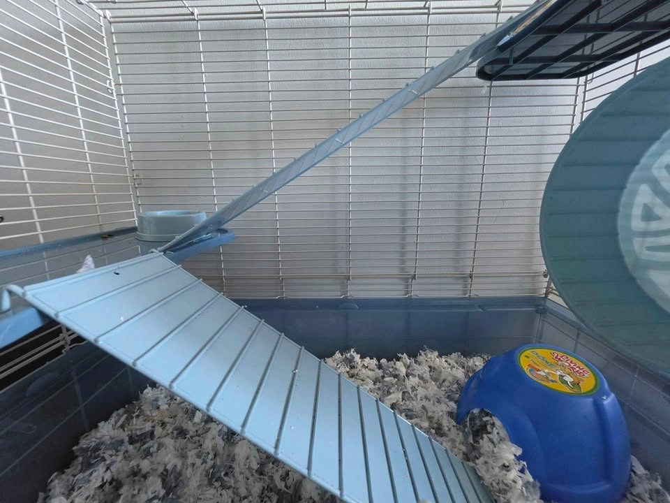 Hamster Starter Spacious Home - photo 3