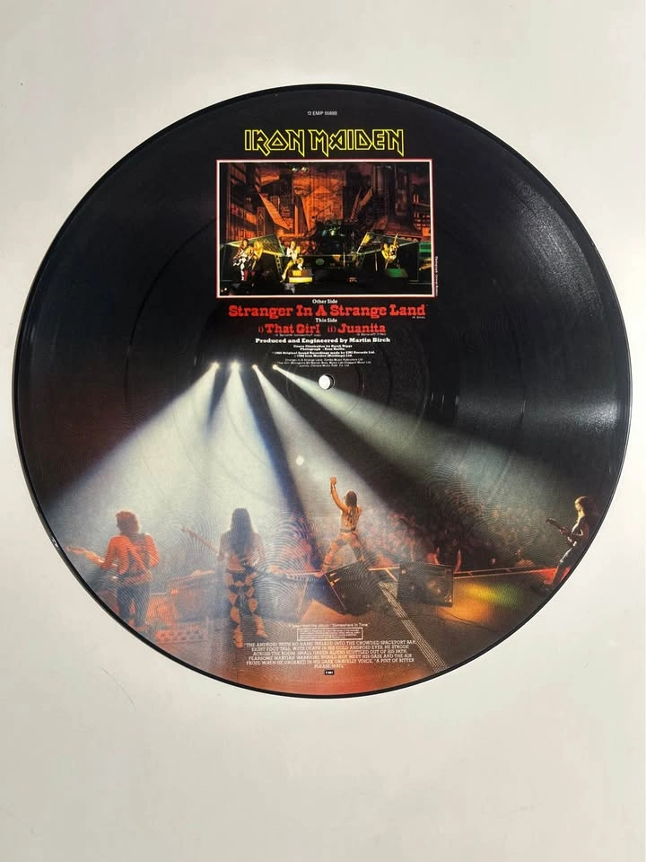 Iron Maiden picture disc 12 inch NEW MINT - photo 2