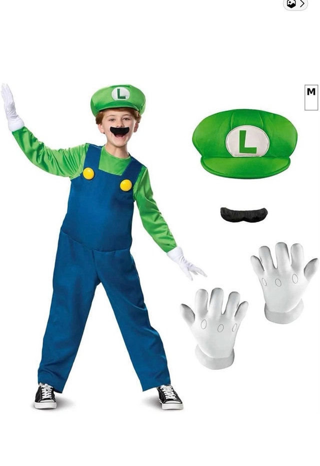 Brand new Luigi costume from super Mario Brothers