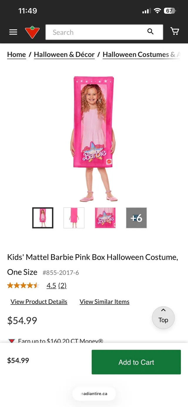 Barbie Box Costume image indicator(2)