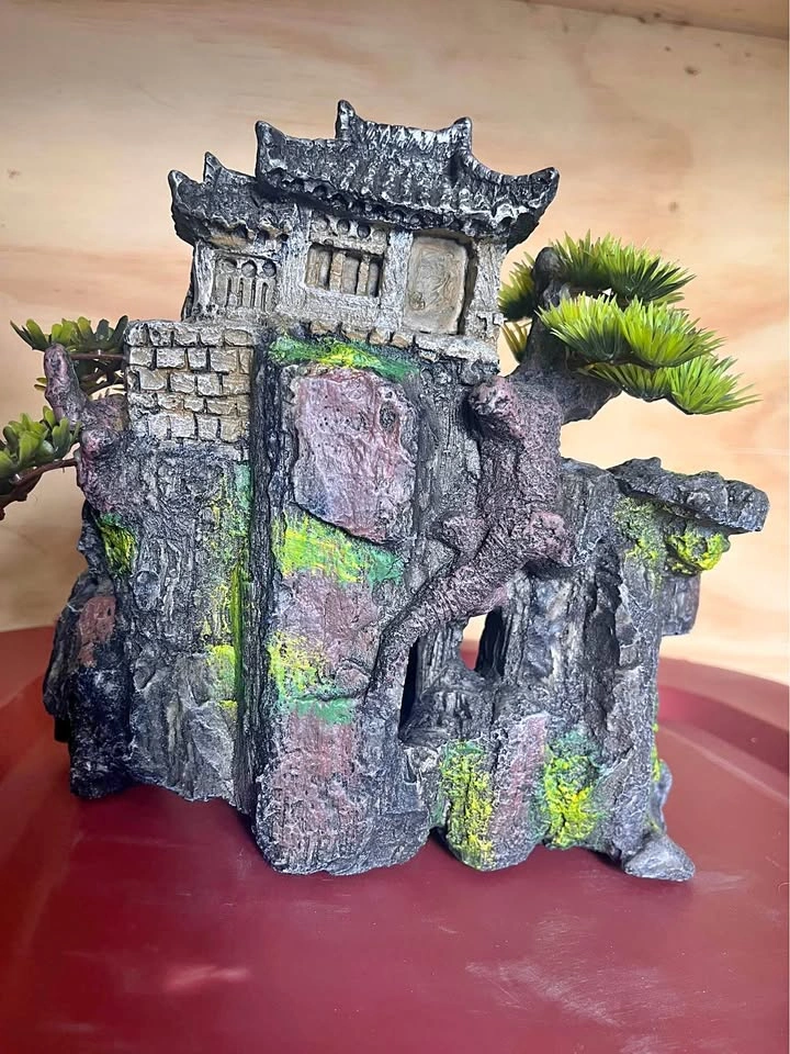 Aquarium & accessories